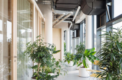 EYE CARE PRACTICE WIENER NEUSTADT