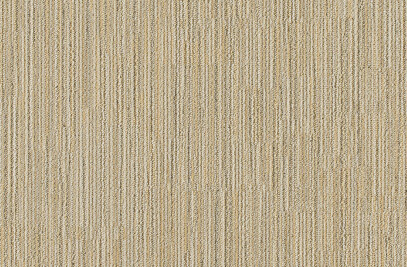 Elevation - True North