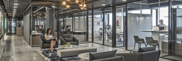 Office area: Black anodized finishes and 48" ladder pull hardware