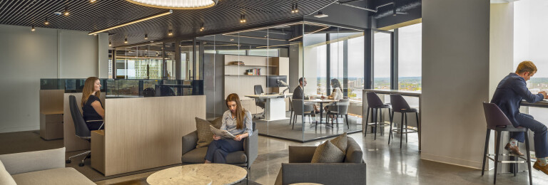 Office area: Black anodized finishes and 48" ladder pull hardware